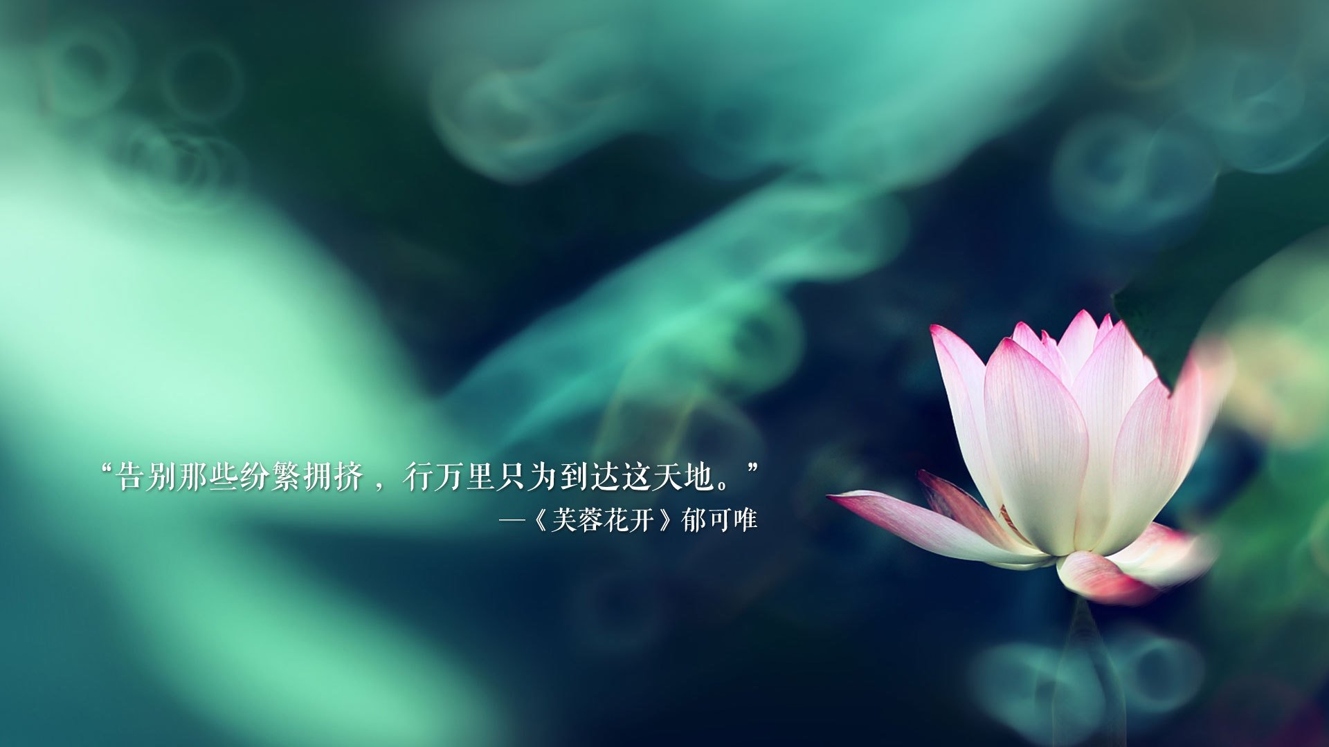 瑞士男足在巴黎奥运会比赛中获得银牌，创历史，瑞士男足世界排名