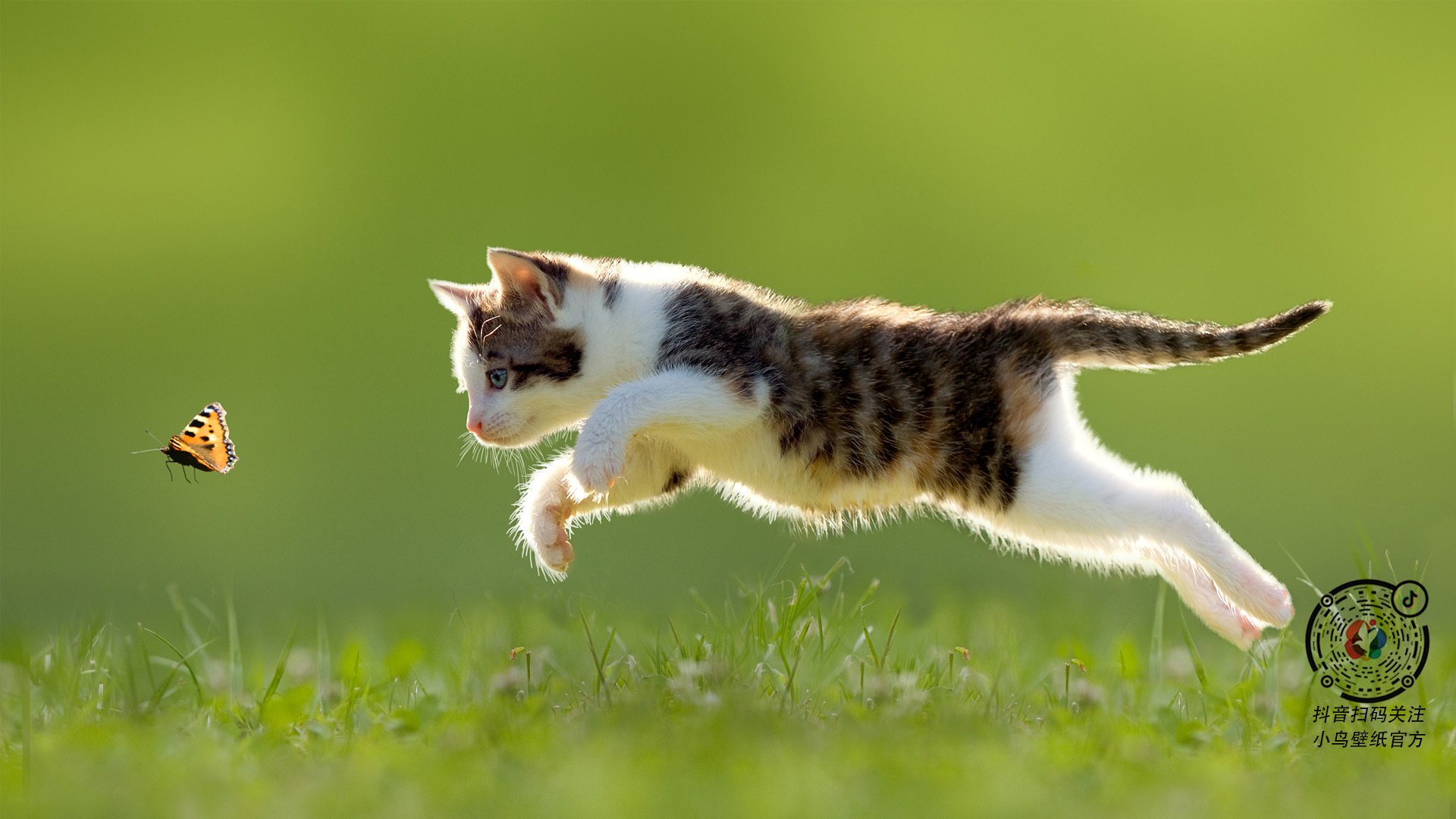 九游9游-西甲精彩夜，球员表现出色，战术变化显著，西甲精彩进球