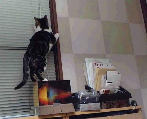 九游网游官网-青少年“篮球+科技”结合的创新培训体系在全国试点推广，青少年篮球训练课程