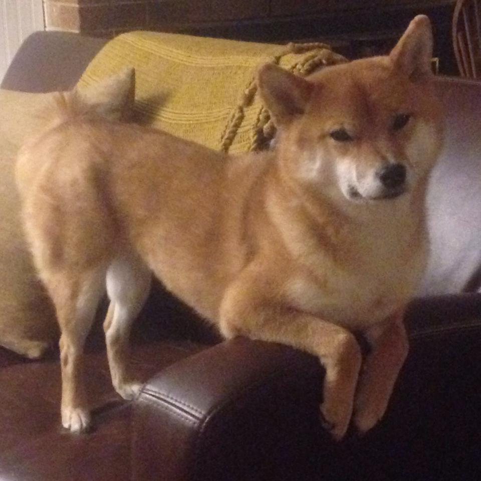 九游娱乐(jiuyou)官方网站-全球粉丝见面会圆满举行，全球粉丝排行榜10强