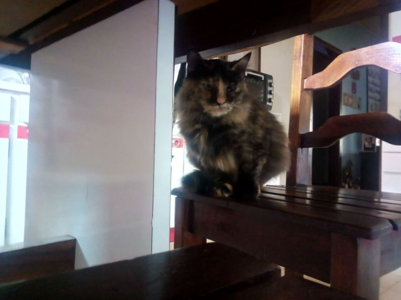 JIUYOU GAMING-利物浦锋线火力全开，红军重返争冠行列，利物浦walk along