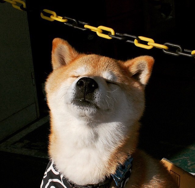 官方乒乓球奥运备战名单出炉,乒乓球备战奥运会