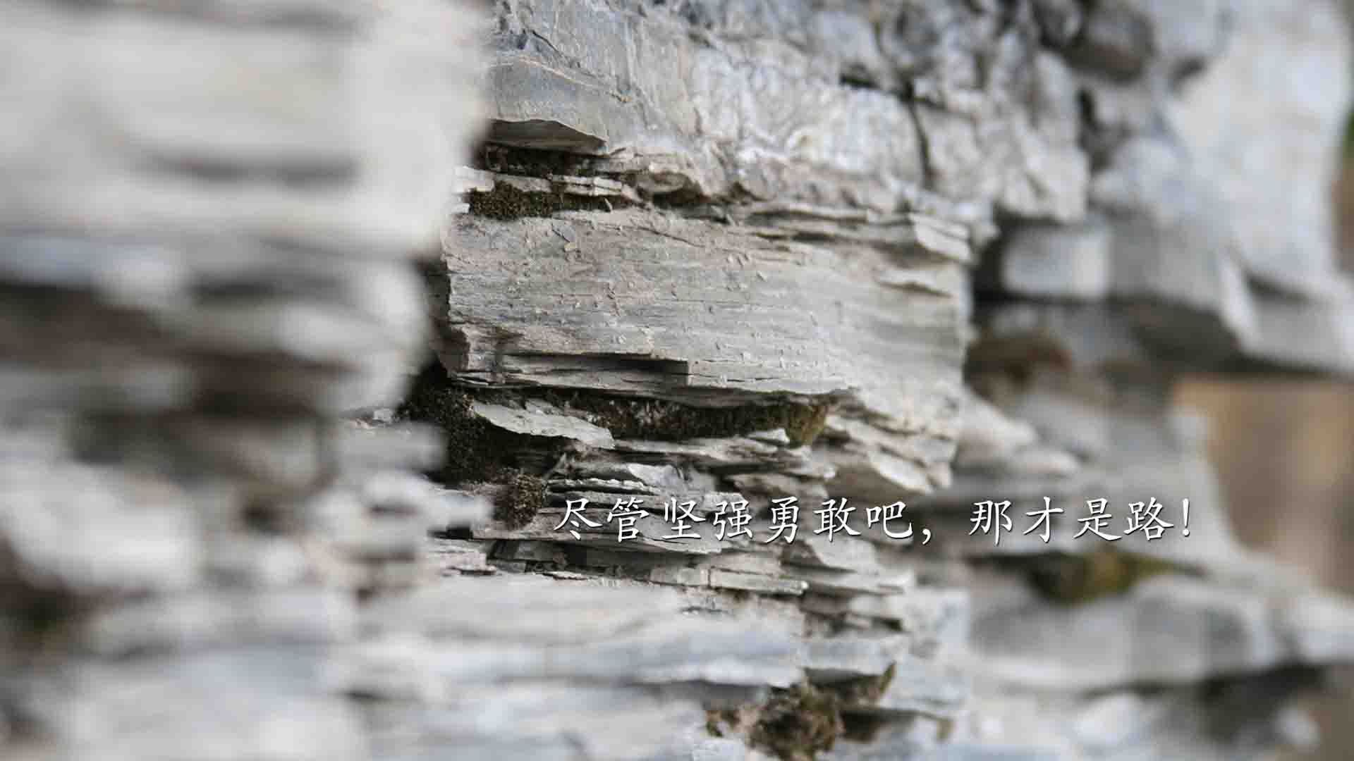 广州龙狮球队整体实力稳步上升，广州龙狮球队整体实力稳步上升