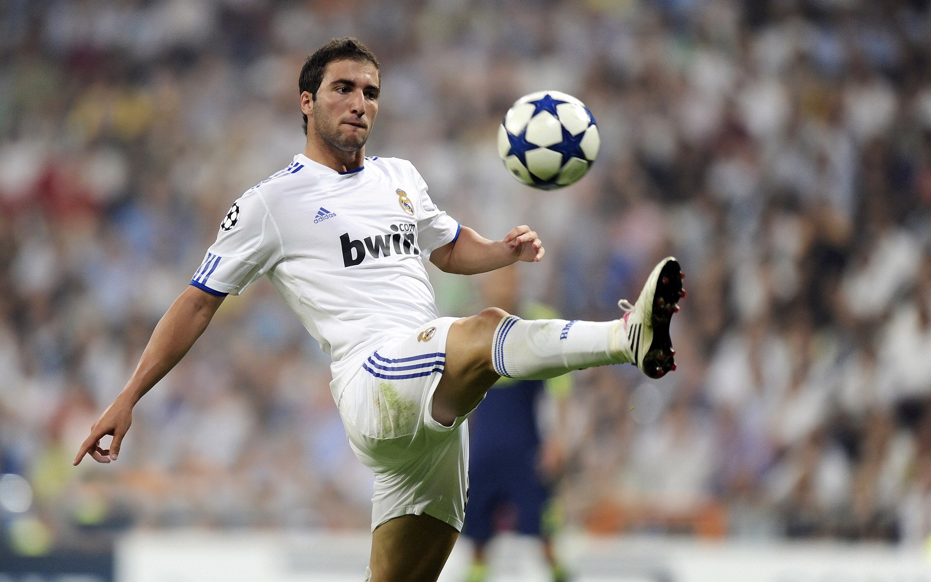 汉诺威近期表现不俗,取得连胜势头,汉诺威简介