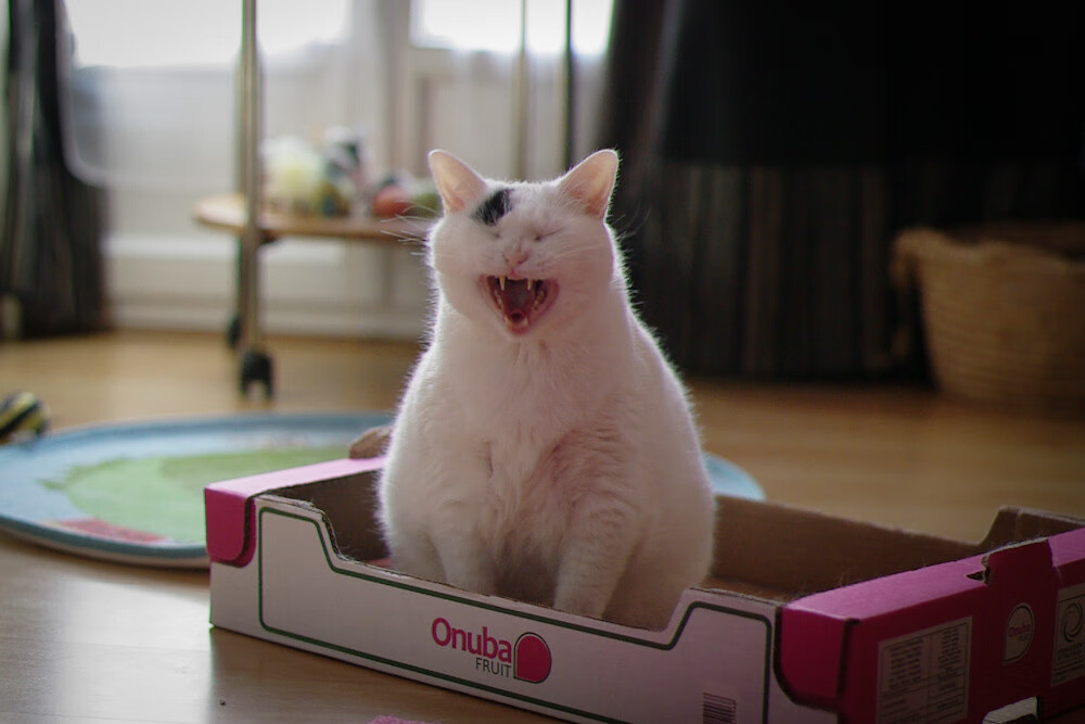 火箭队主教练调整阵容，迎来胜利转机，火箭队换主教练了吗