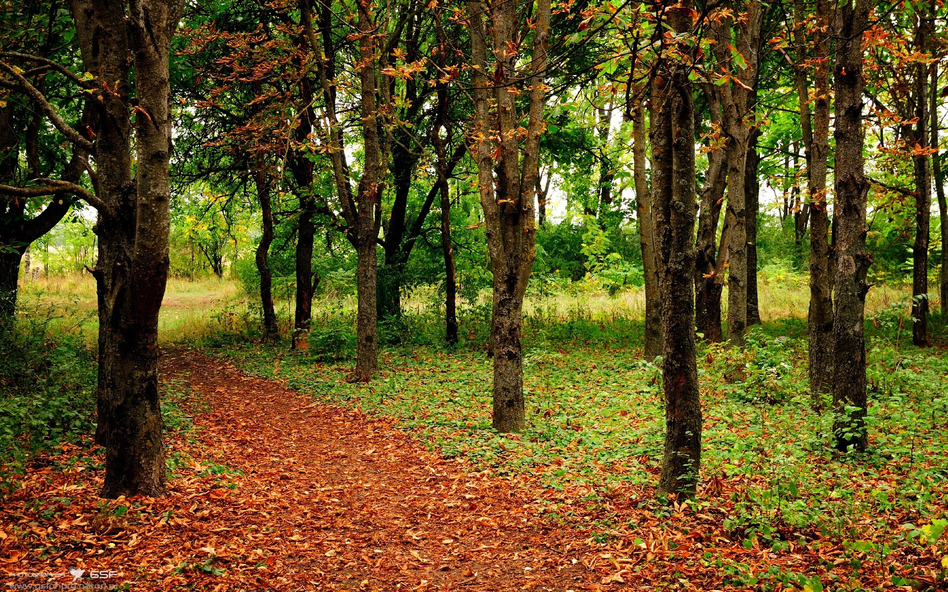 九游电脑版-热那亚连续两场失利，寻找突破口，热那亚怎么样