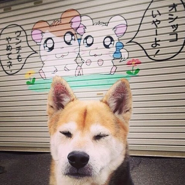 盛大颁奖典礼热闹举行,女足比赛营造氛围,女足获奖