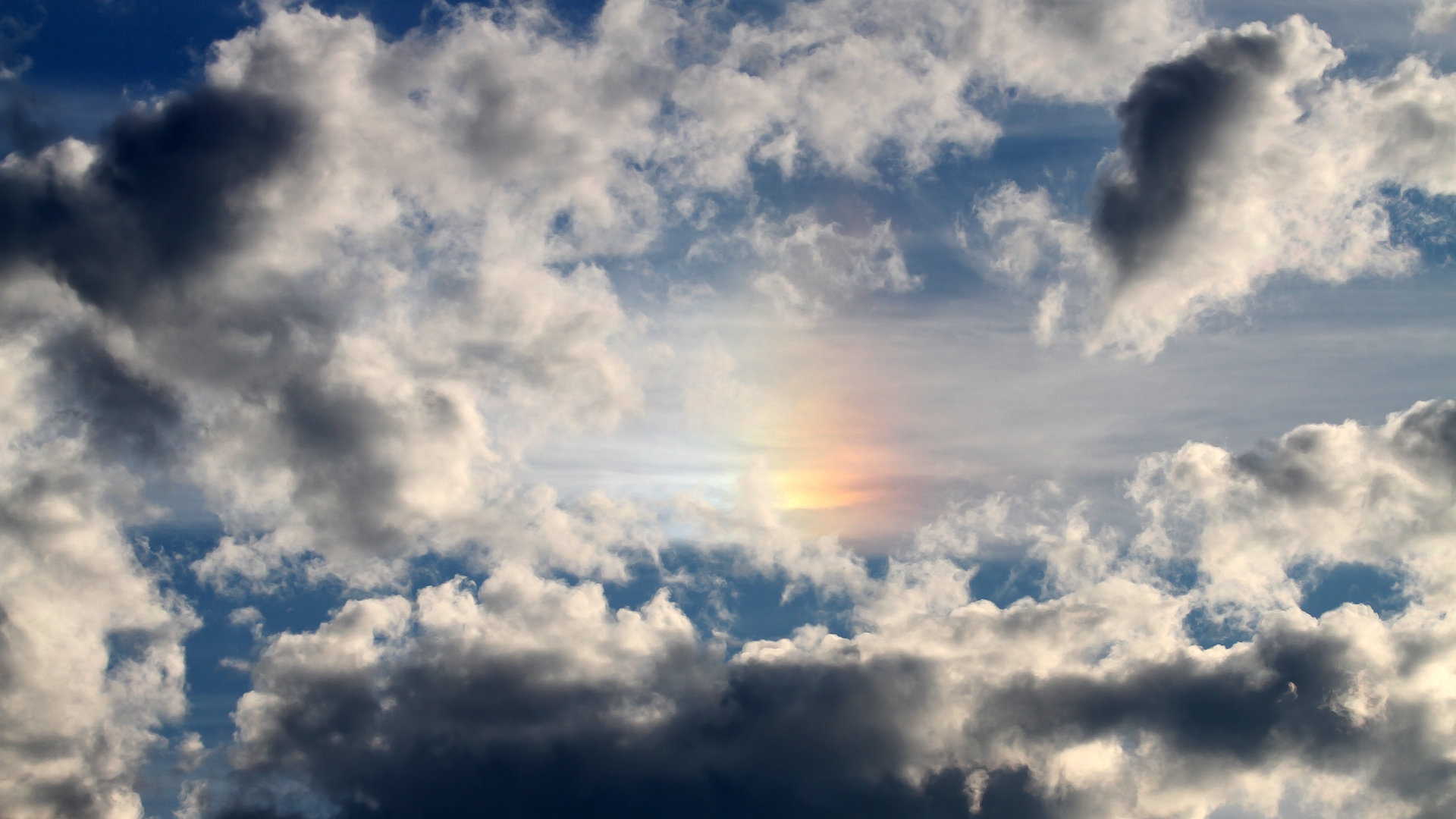 锦标赛决赛尘埃落定，终极对决展现精彩，锦标赛对阵图