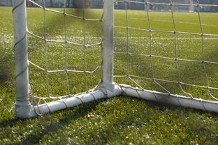 九游网页版官网入口-中国足球门将扑救区域热图，中国足球门将最差吗