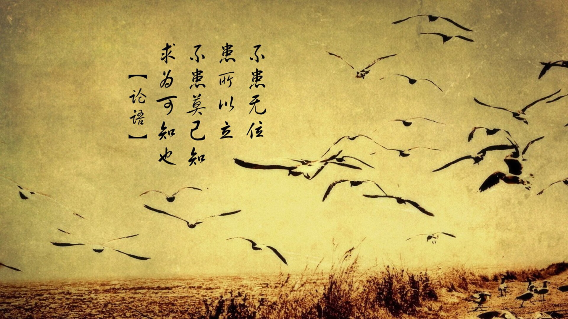 意甲球队利用认知负荷测评调整训练任务密度