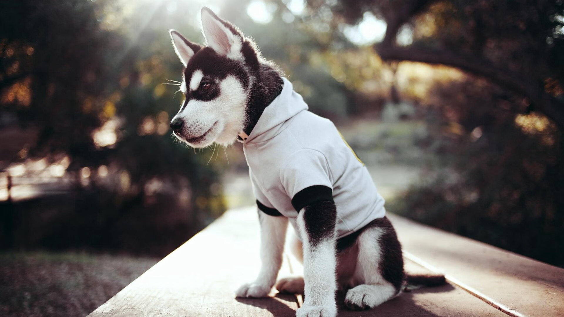 意甲青训心理训练提升球员应对压力的实证分析,意甲5月恢复训练