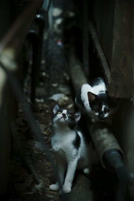 九游app官网下载-中国男篮注重体能训练 提升比赛耐力，中国男篮体制