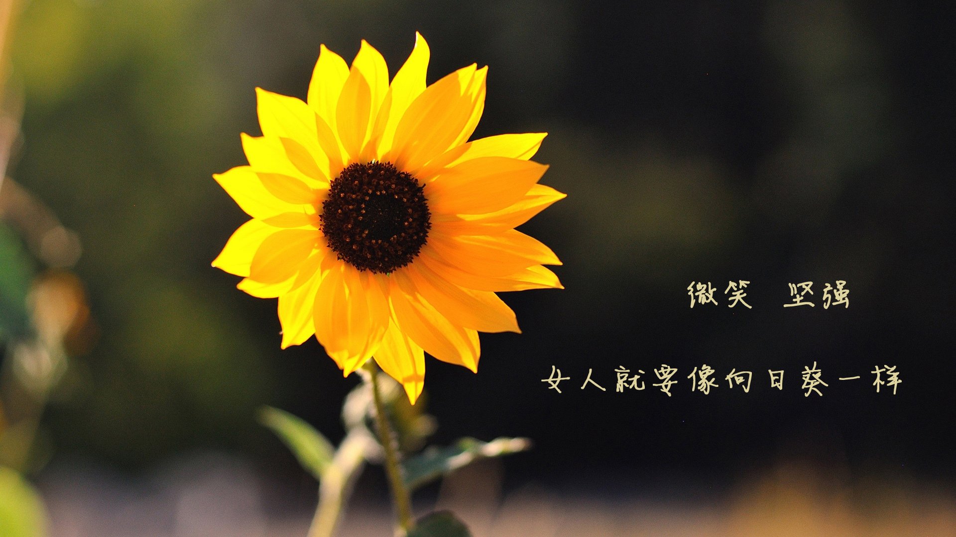 乒乓球技术进步推动赛事速度提升,提高乒乓球技术的五种要素