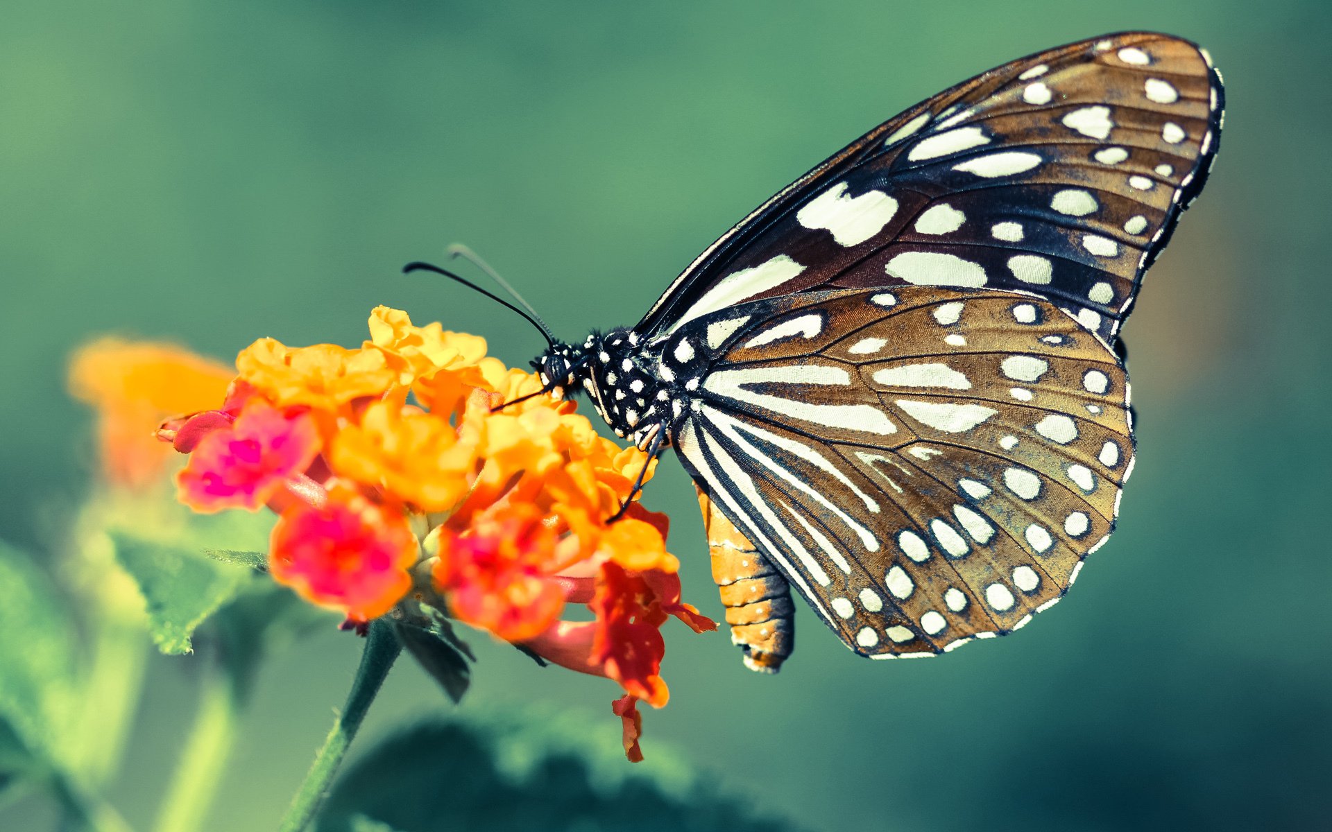 九游下载官网-国际热身赛U23国足战平 球员拼搏精神感人，u22国足热身赛