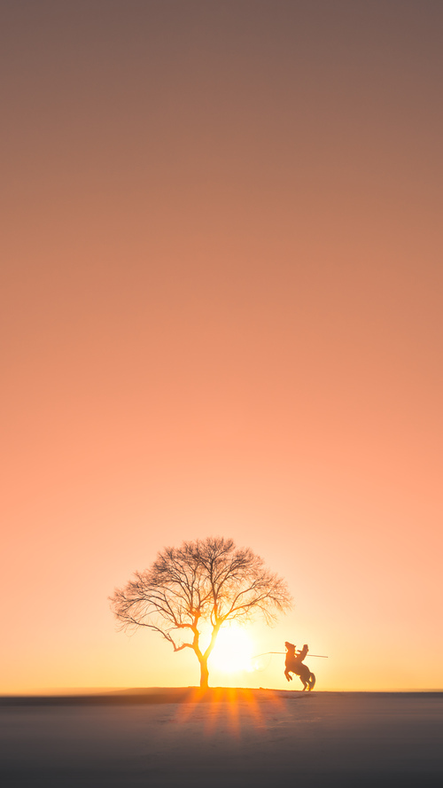 乌拉圭男篮在南美锦标赛中继续提升,体育影响深远,乌拉圭 男篮