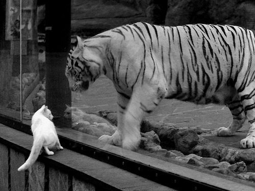 乔治加强三分训练提升外线威胁力，乔治训练集锦