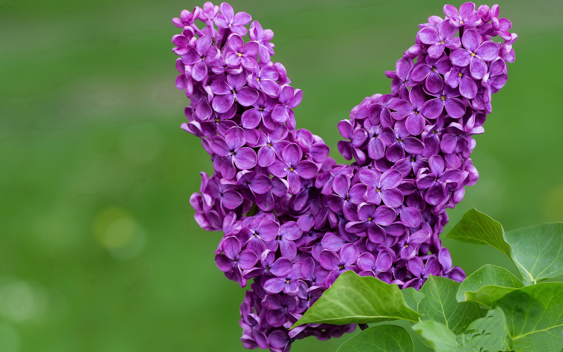 女子足球世界杯备战紧张，女子足球世界杯预选赛