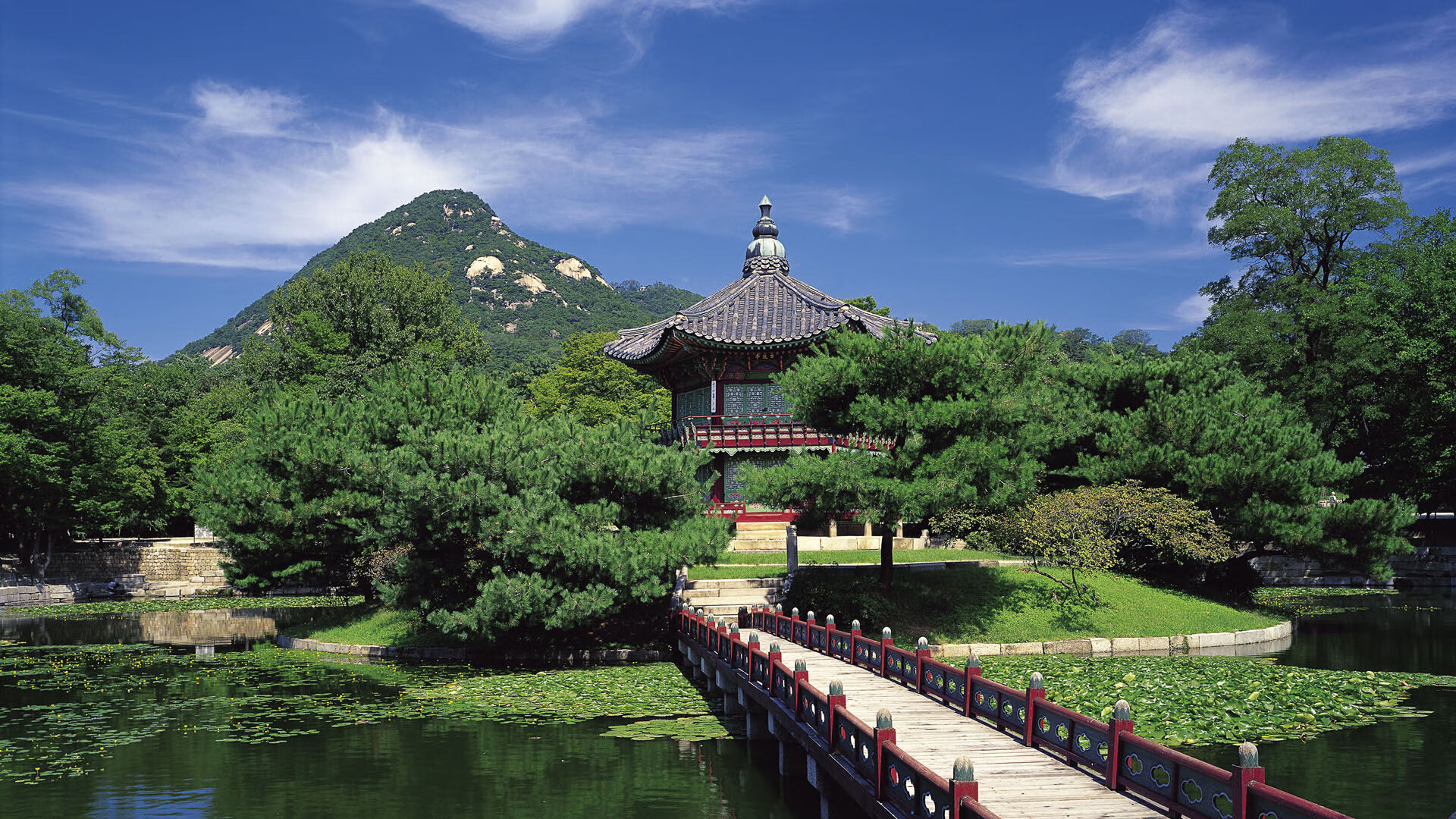 九游网页版官网-法国橄榄球的影响力逐步扩展，成为全球赛事焦点，法国top14橄榄球联赛