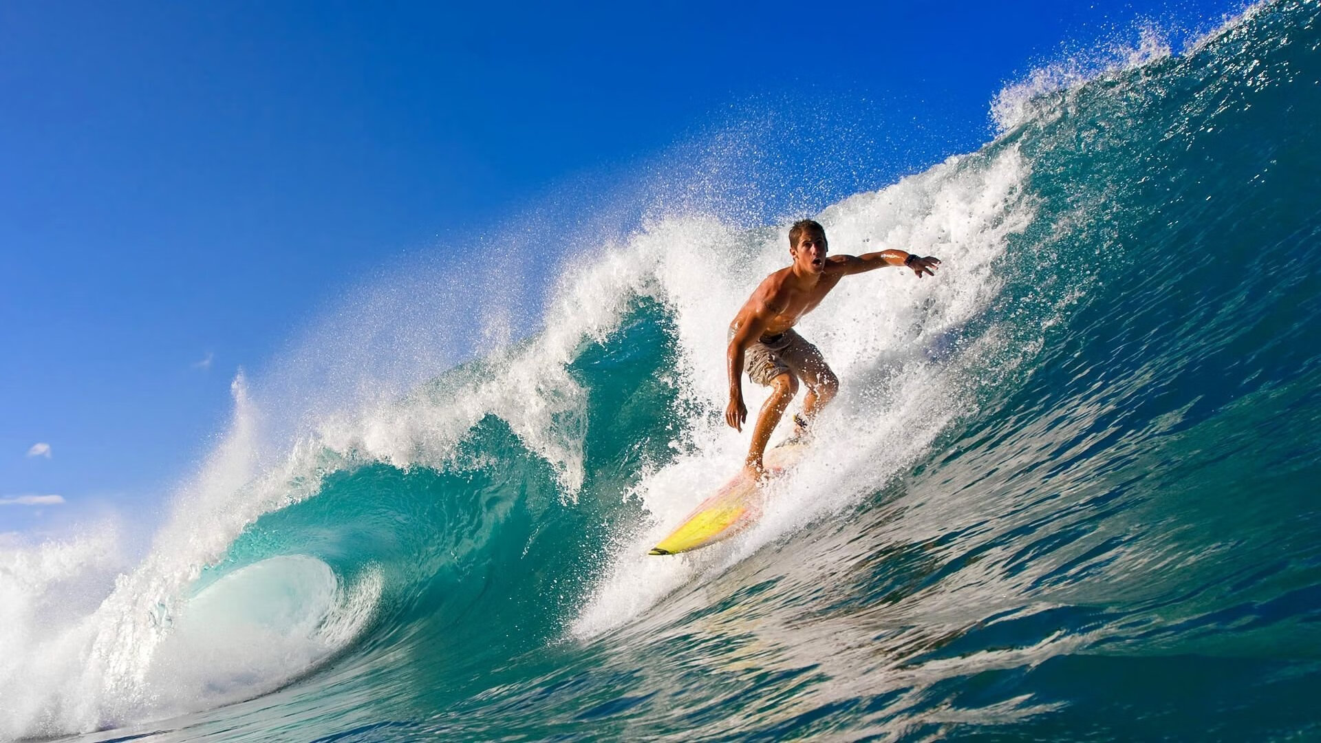 Jiu You-最萌球迷：他们的应援姿势火遍网络，篮球应援